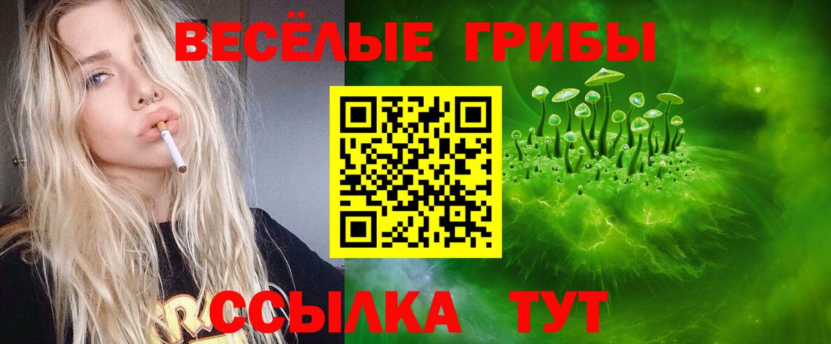 Алейск  Галлюциногенные грибы мицелий  Вход с VPN 