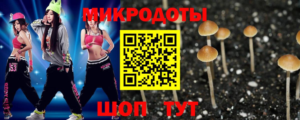 Галлюциногенные грибы мицелий Алейск
